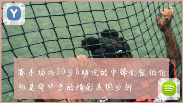 赛季场均20分6助攻的中锋们张伯伦约基奇申京的精彩表现分析