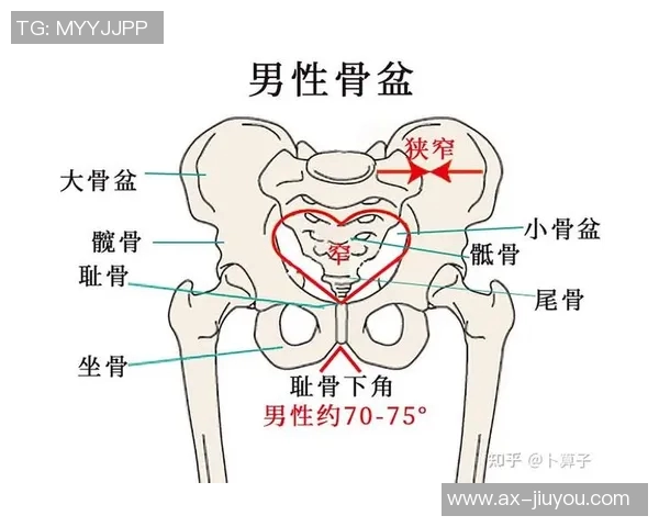 医生解析耻骨炎对亚马尔的影响及其过度使用损伤的成因与后果